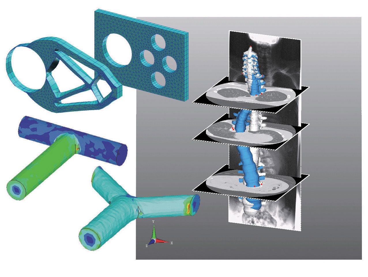 Figure : Optimization of elastic body and flow field/Individual modeling