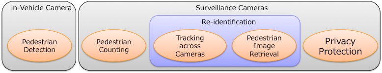 Pedestrian Detection / Tracking / Identification