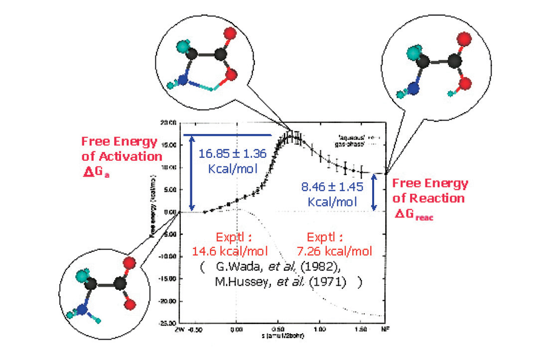 Figure : Free energy diagram of the isomerization reaction of glycine molecule in aqueous solution